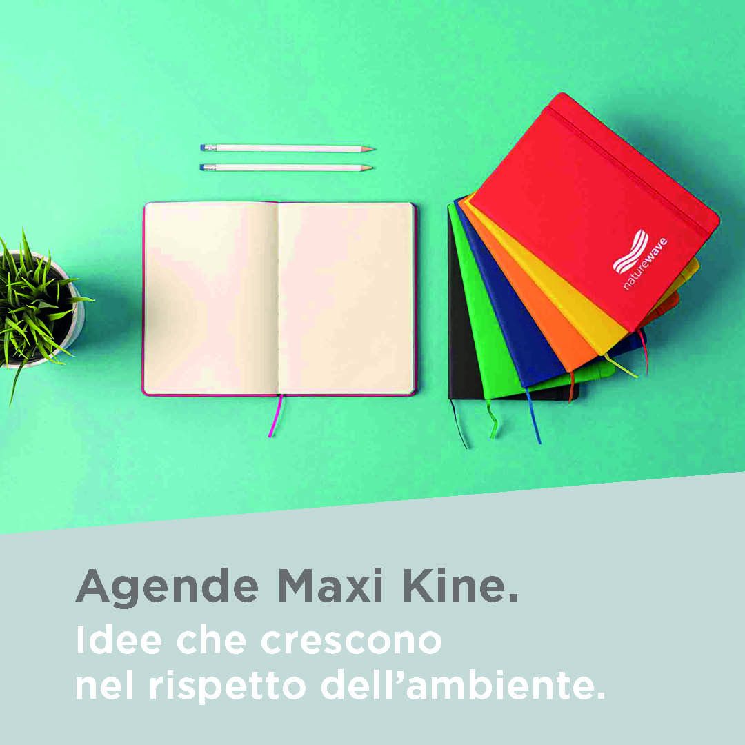 Sld Dsk Agende Maxikine