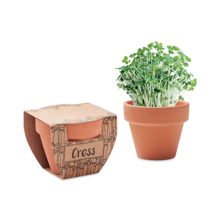 CRESS POT. Semi di crescione in vaso - MO2219