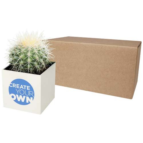 Vaso in alluminio con pianta, cactus Hey Pots - 1PY003