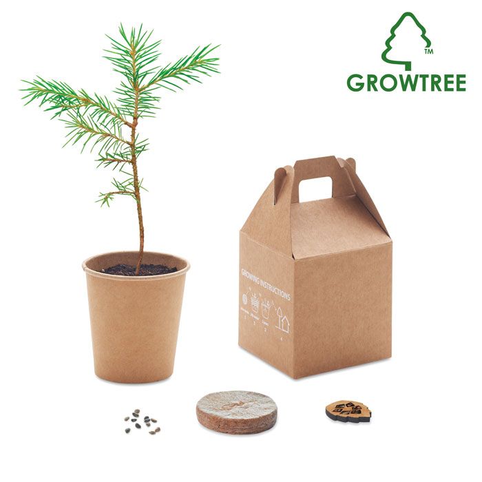 GROWTREE™. Set in legno di pino - MO6228