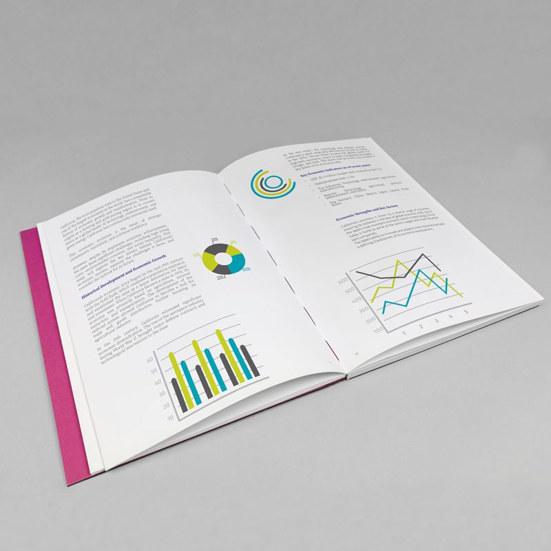 Sustainability Report e Bilanci