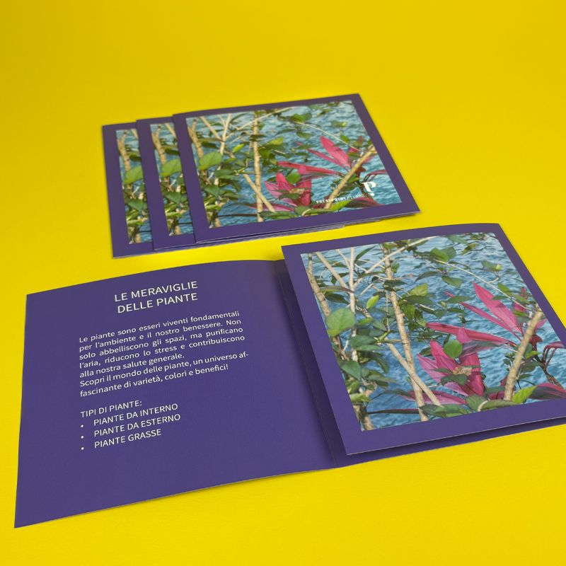 Brochure e Company Profile (pieghevoli) a 3 ante