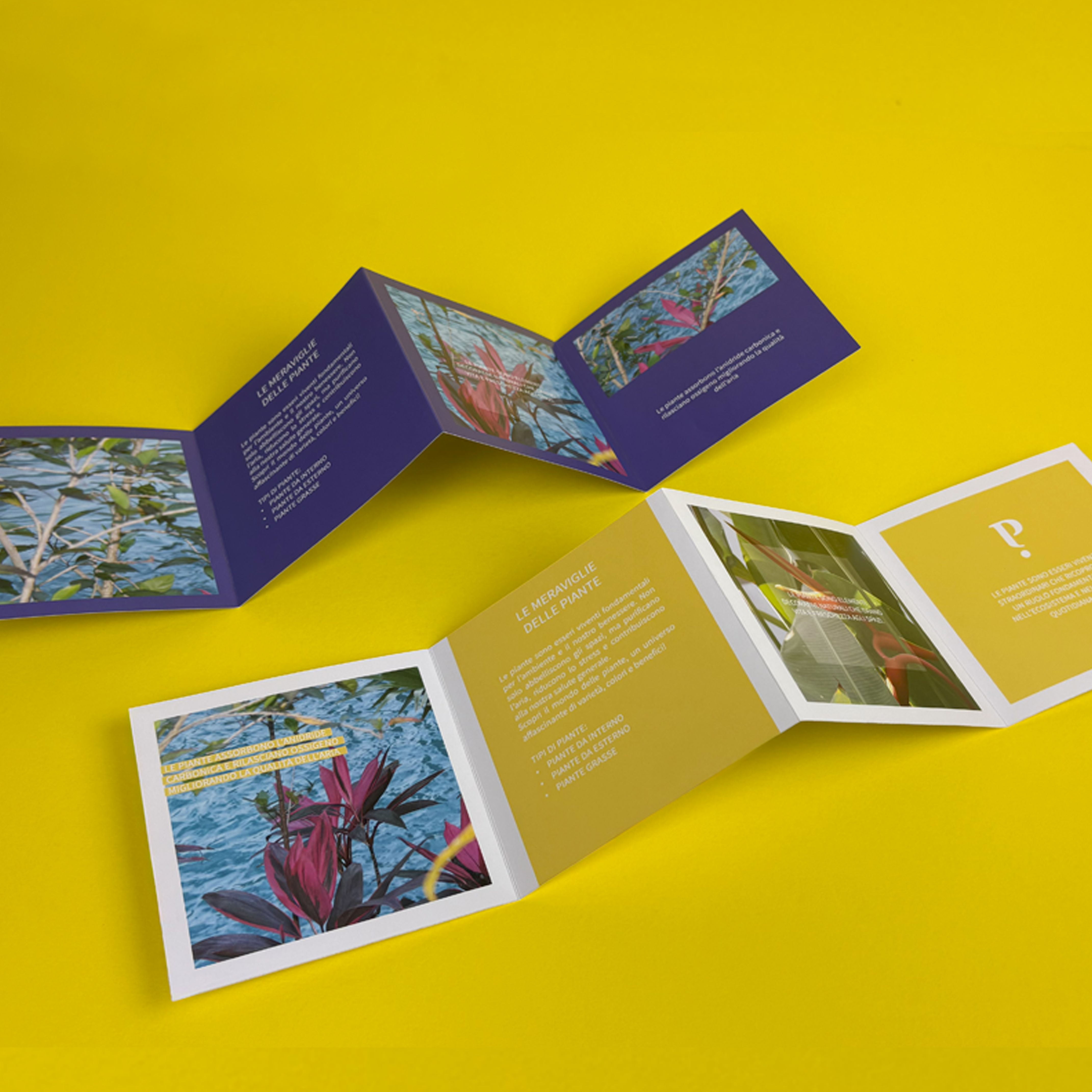 Brochure e Company Profile (pieghevoli) a 4 ante