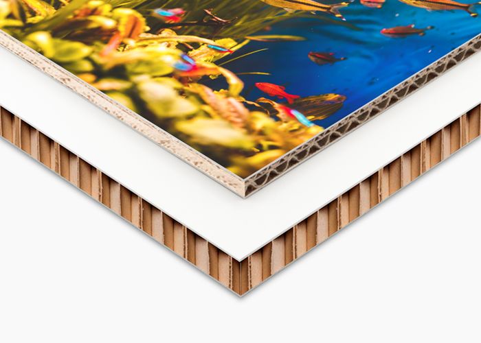 Cartone e cartoncino