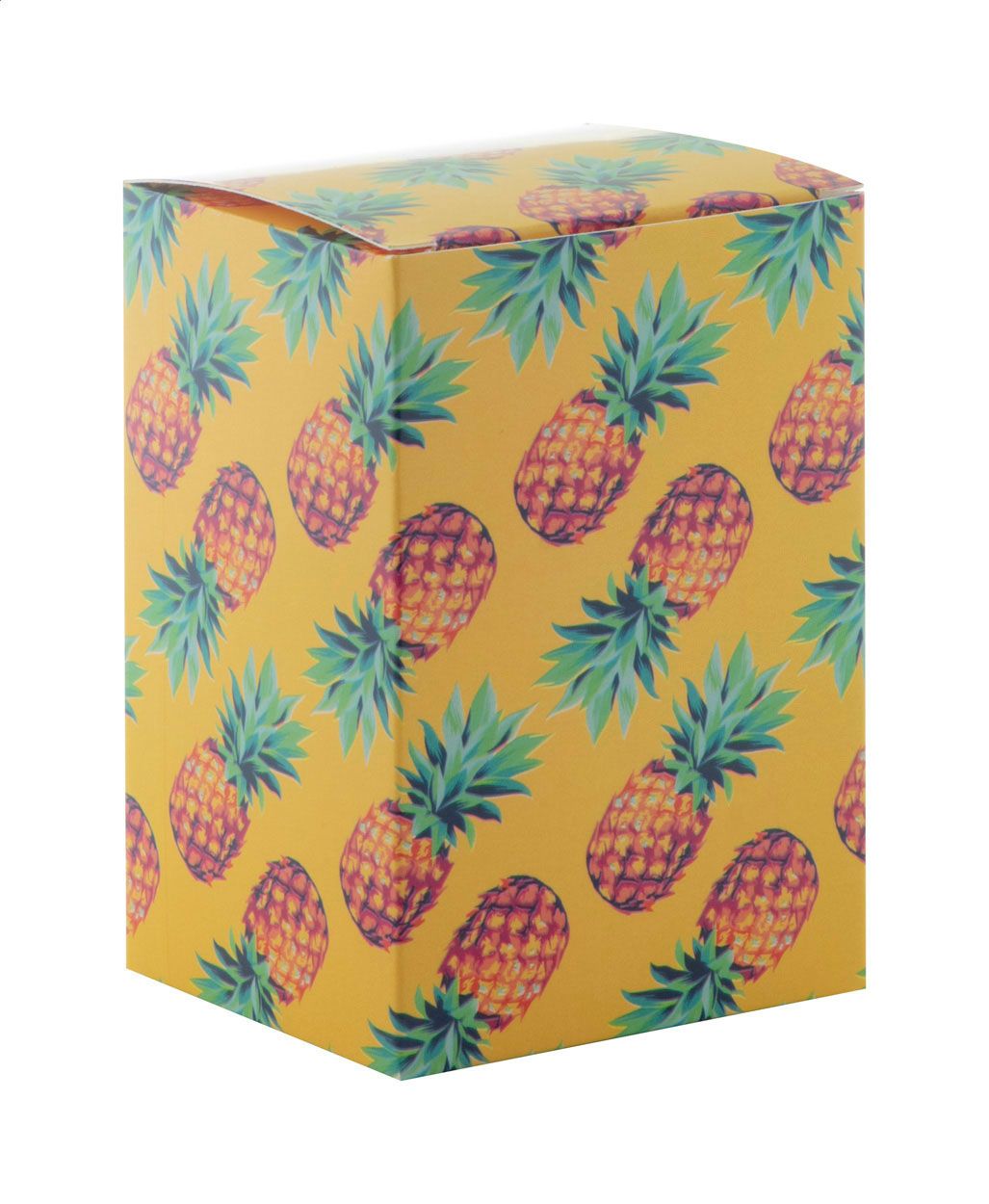 CreaBox PB-300. scatola personalizzabile