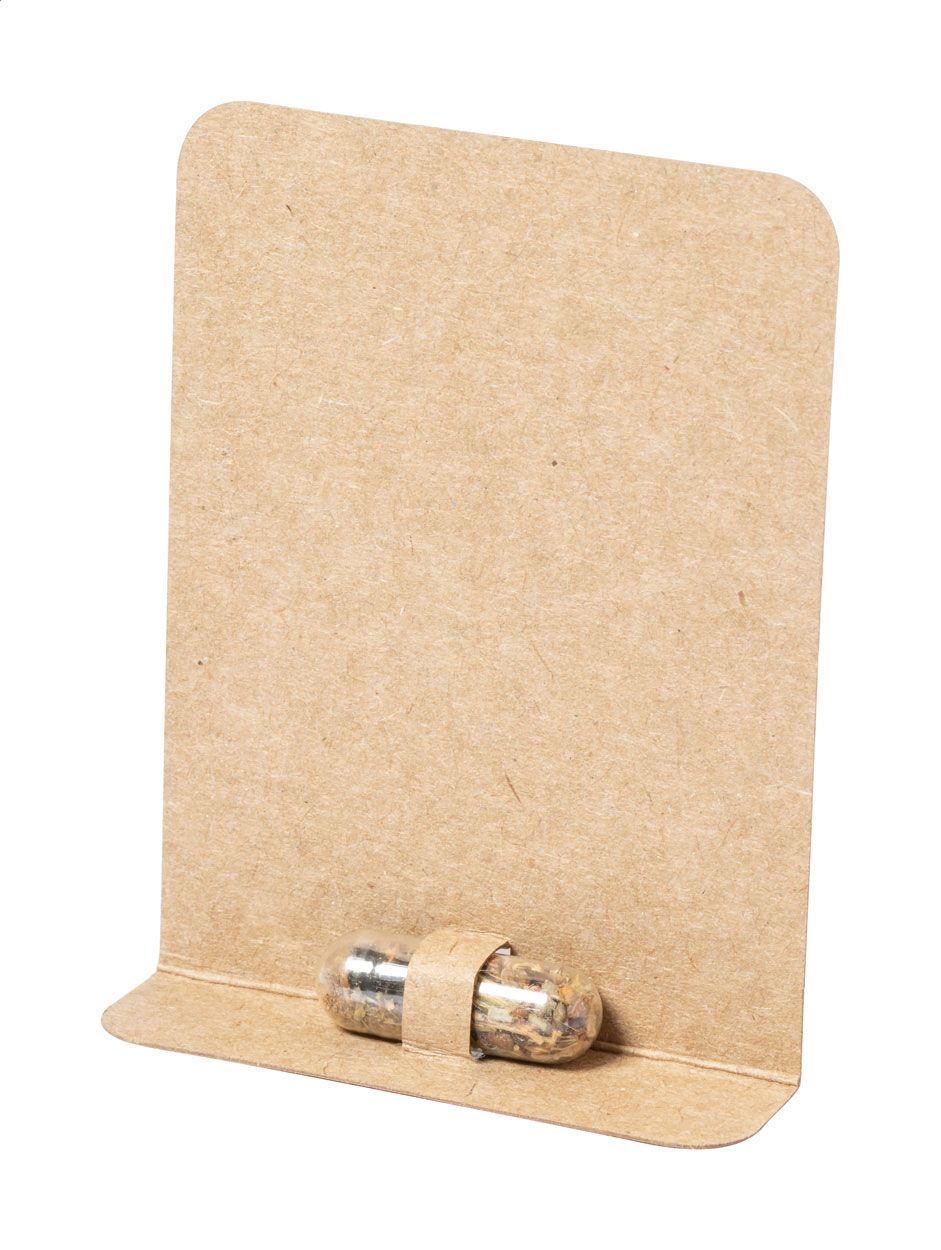 Flocca. capsula con semi di fiori