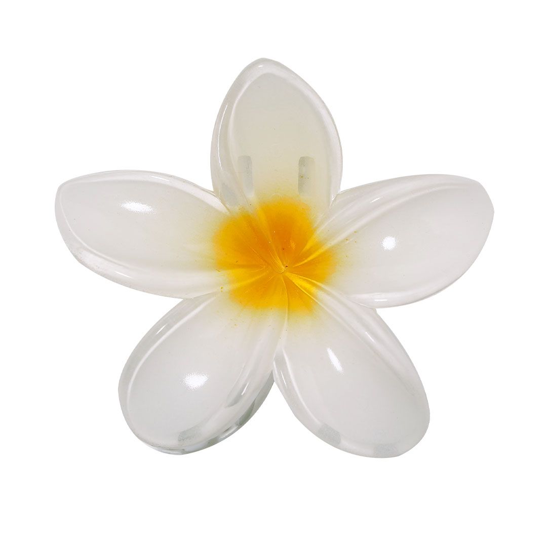 Fermaglio per Capelli Tixcon