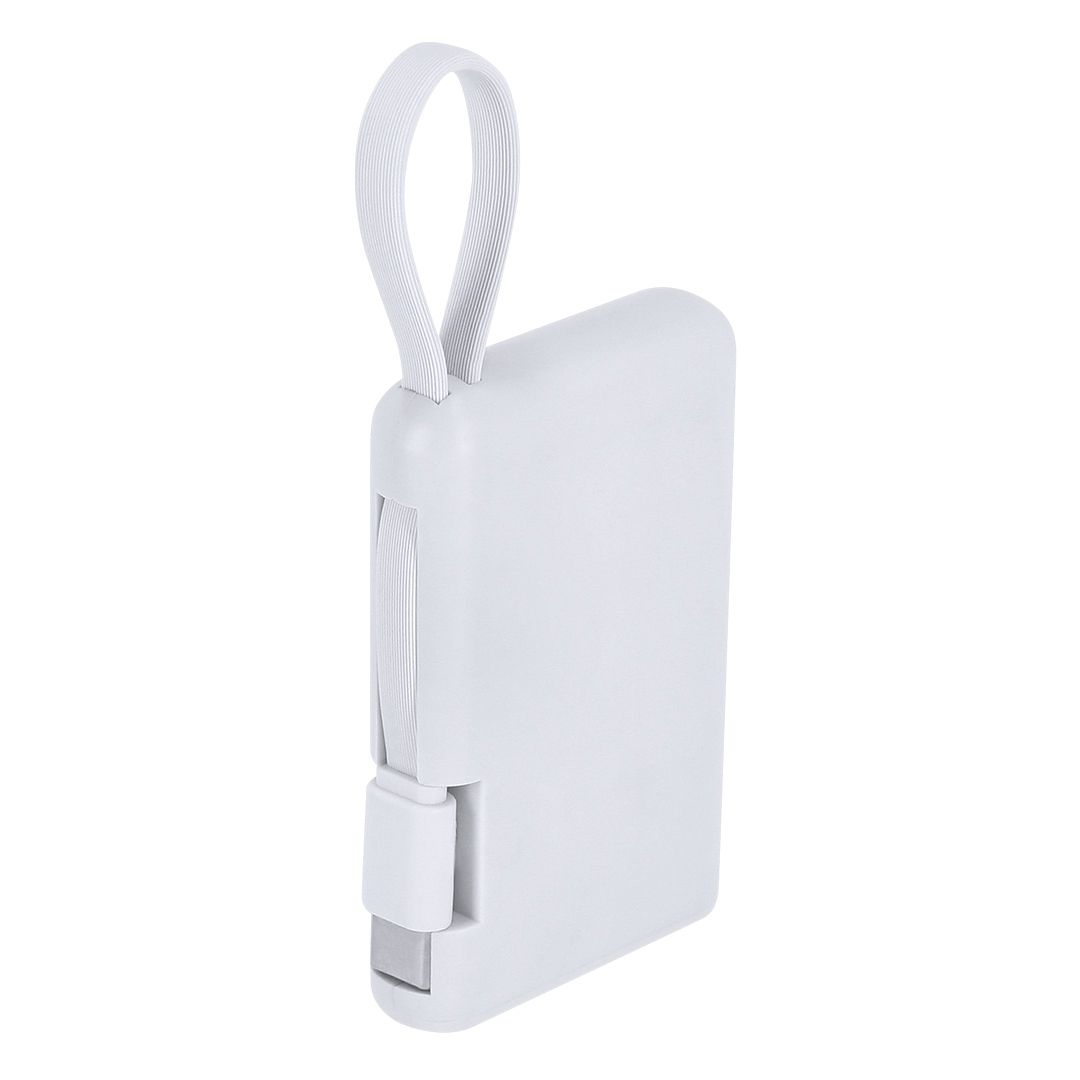 Power Bank Brandin