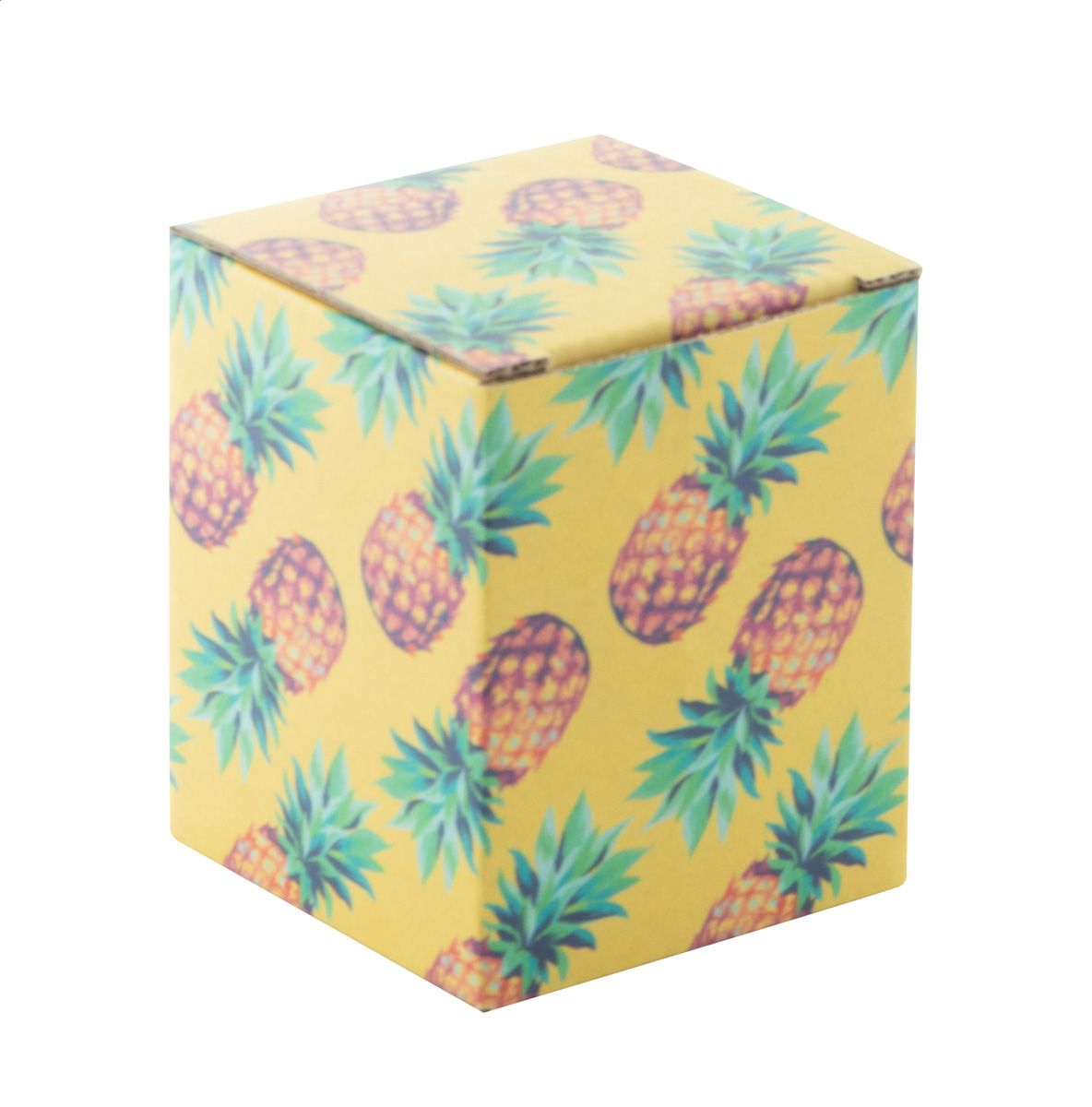 CreaBox EF-216. scatola personalizzabile