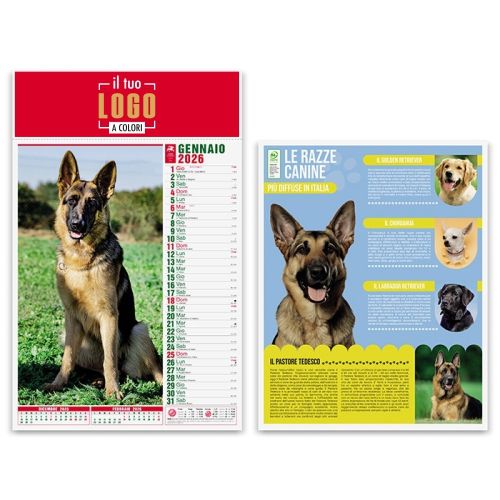 Calendario Illustrato 2026 | Testata 30×9 cm Personalizzato | CANI E GATTI