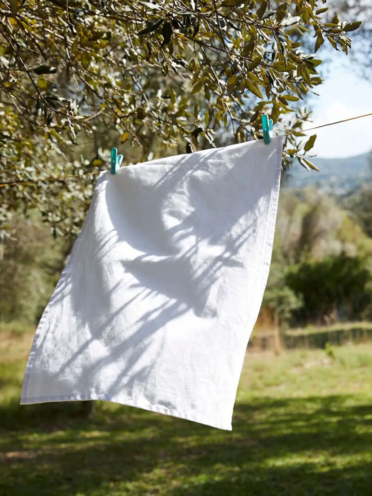 Tea Towel - Westford Mill