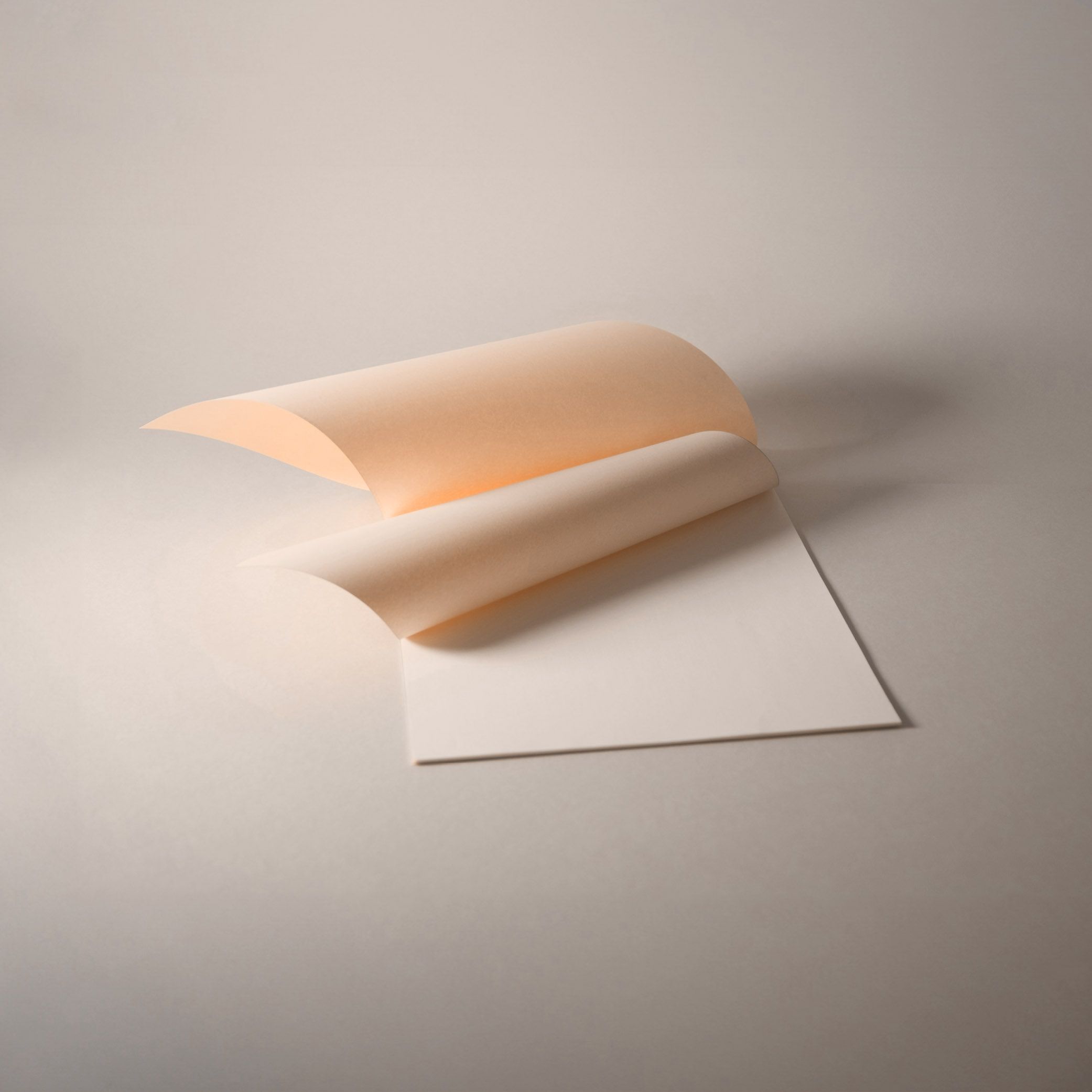 Moduli copiativi ricalcanti (dato variabile)