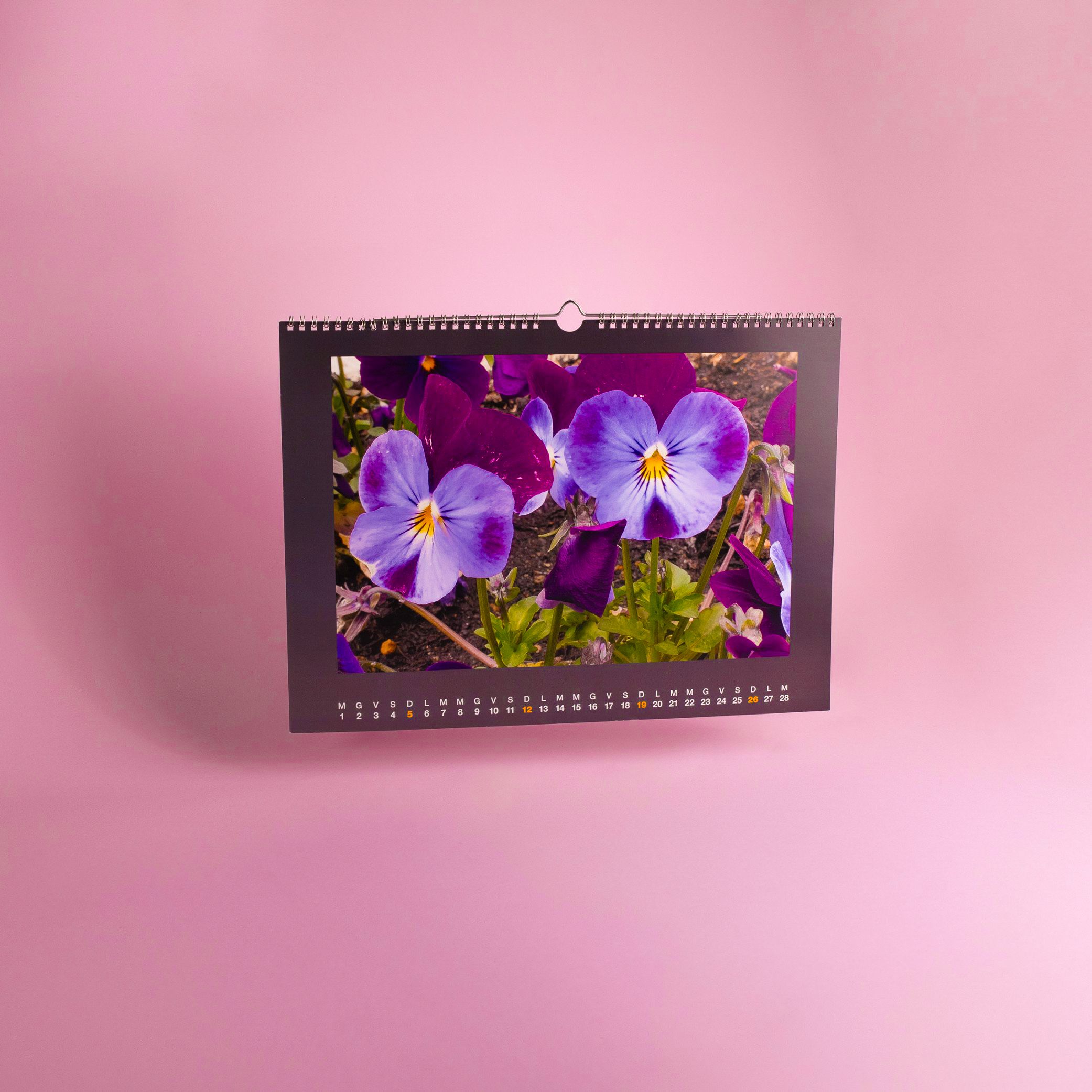Calendari Fotografici Spiralati da Parete