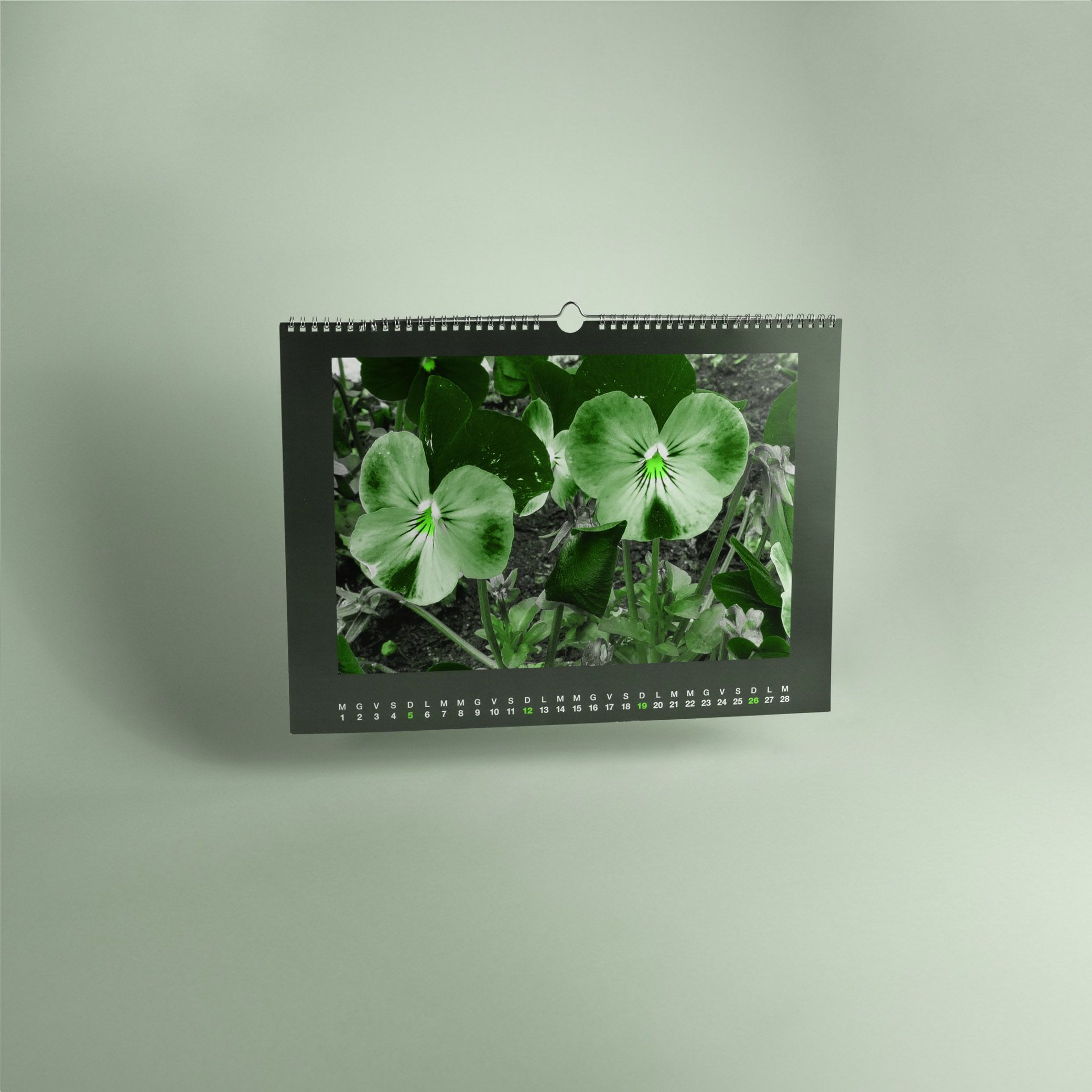 Calendari Fotografici Spiralati da Parete Eco