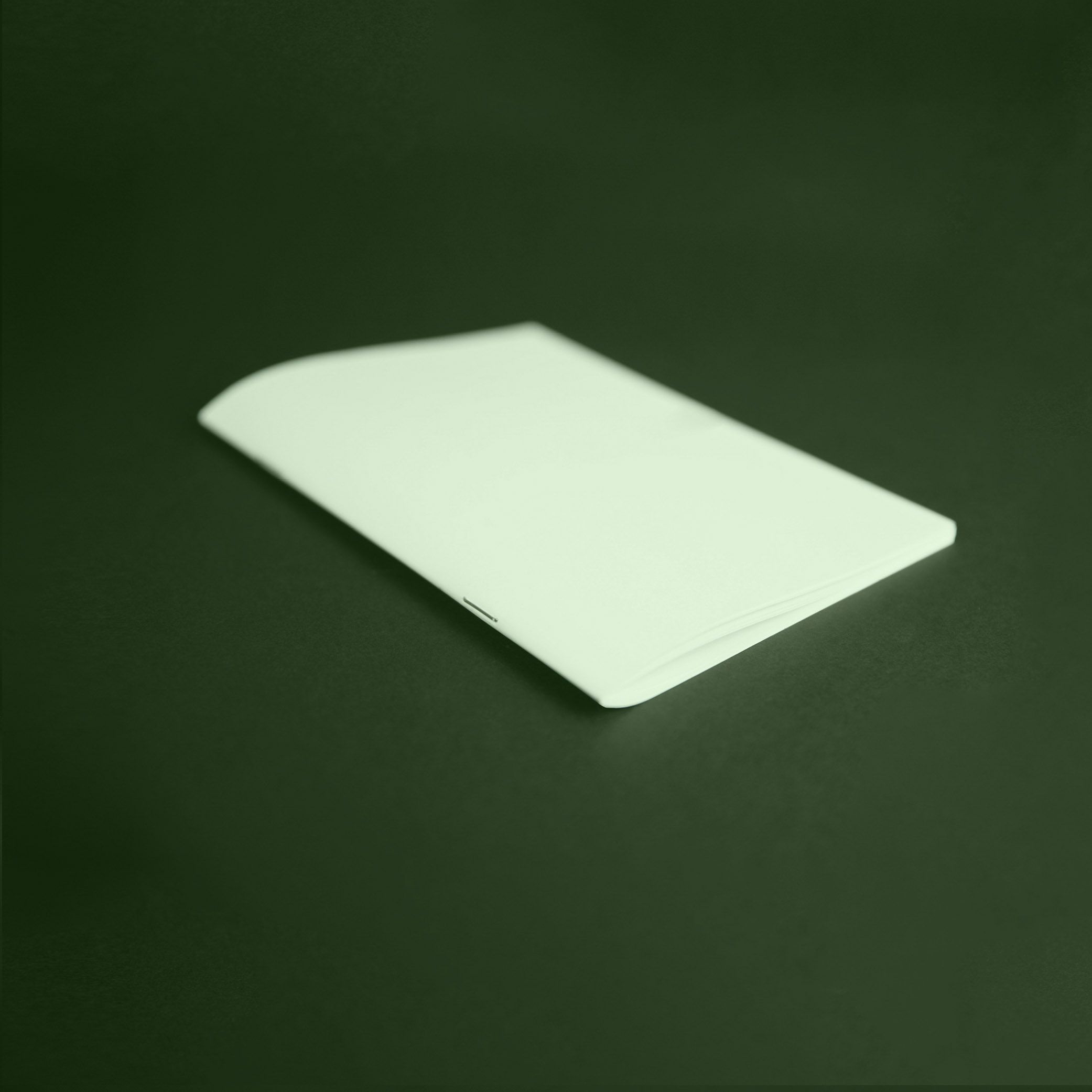 Rilegatura a Punto Metallico Eco