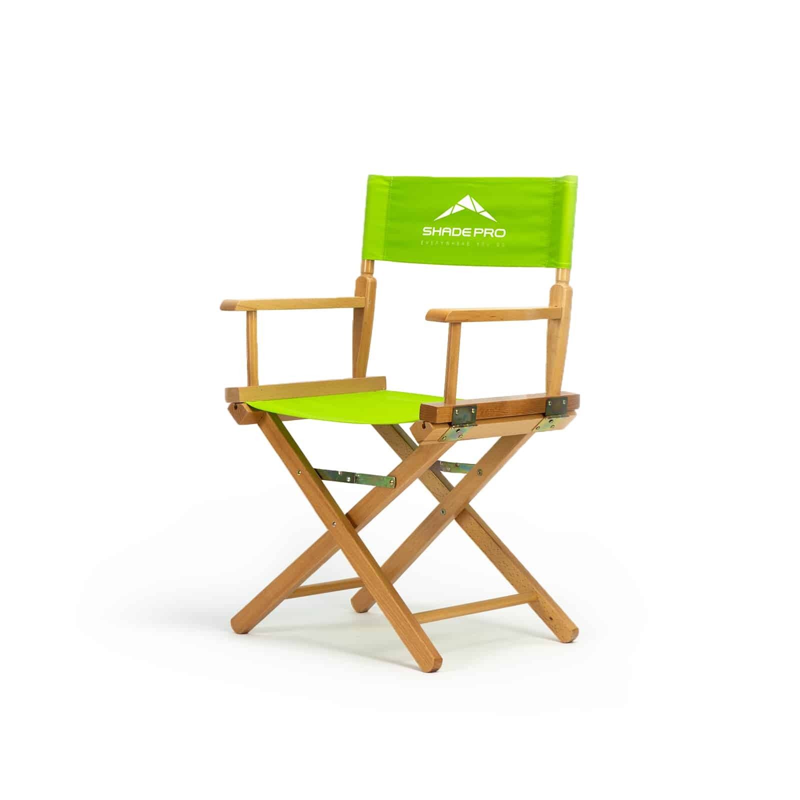 Director Chair