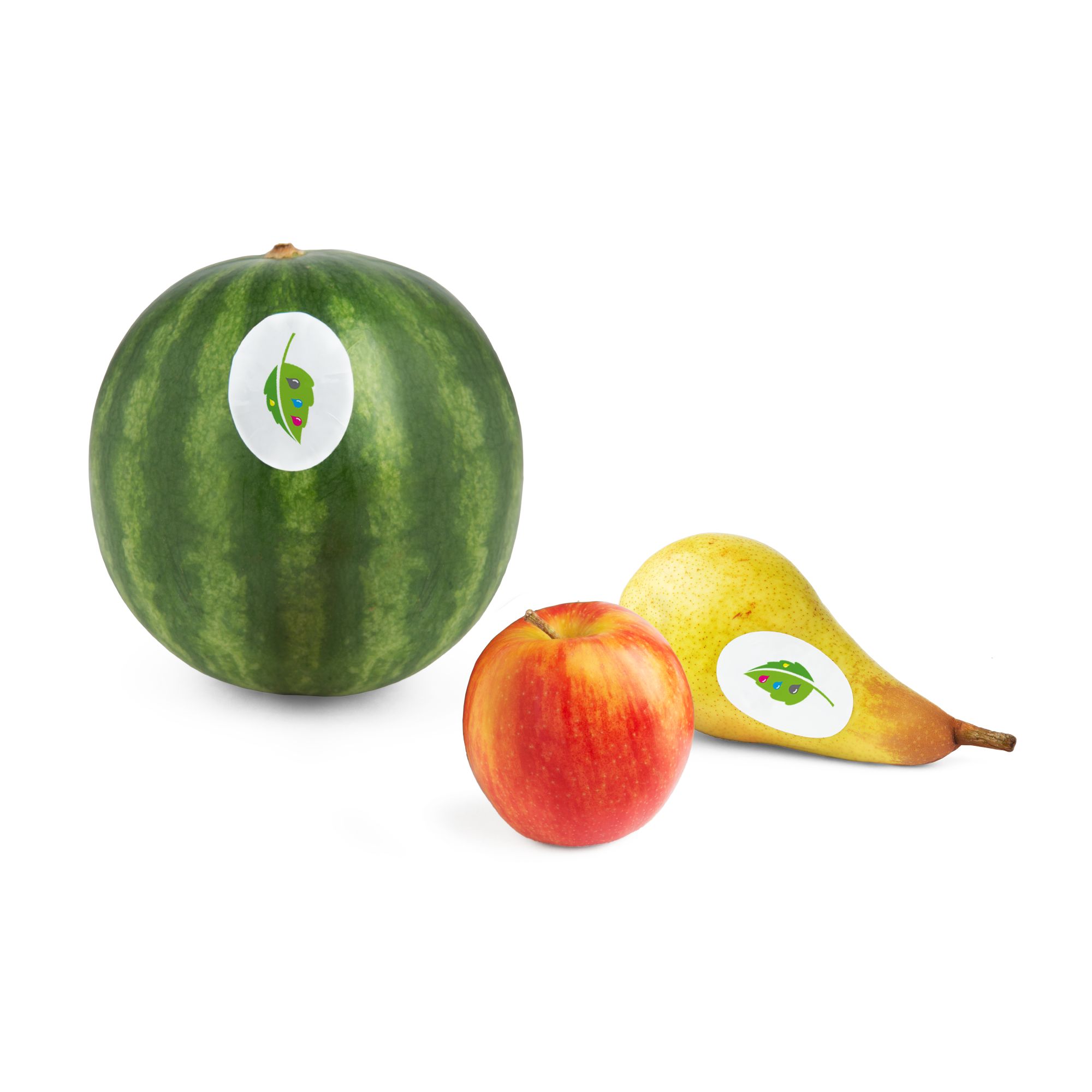 Adesivi per alimenti