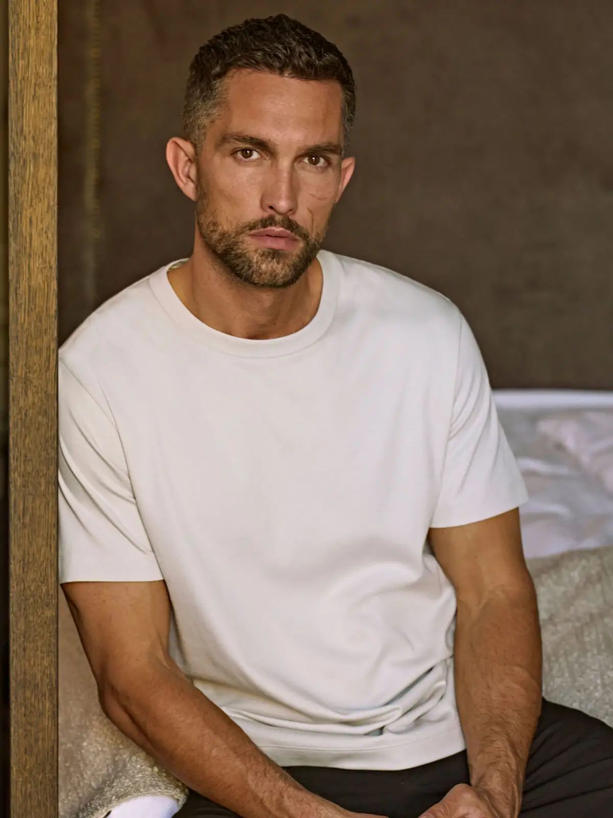 Prima Cotton Tee - Tee Jays