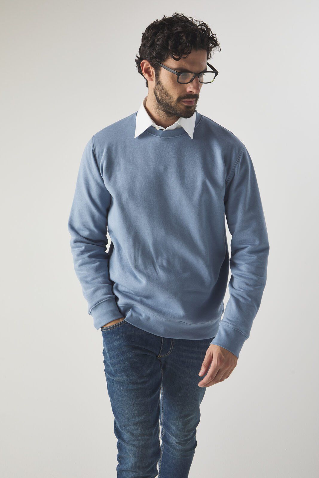 Ginger - Black Spider