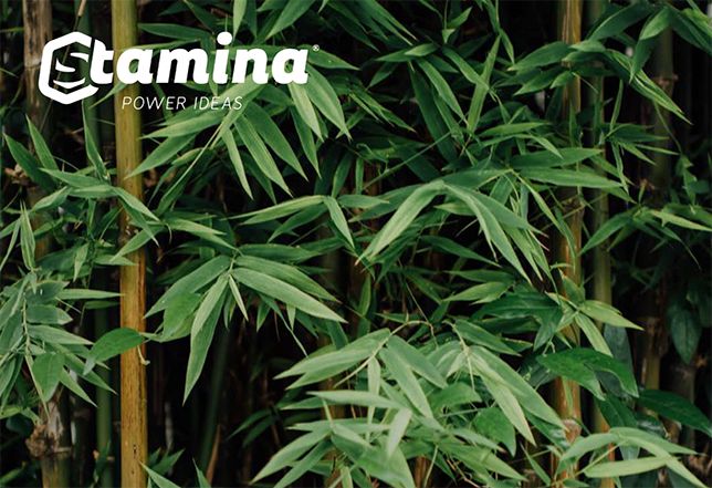 Schermata 2023 10 17 Alle 1652 16