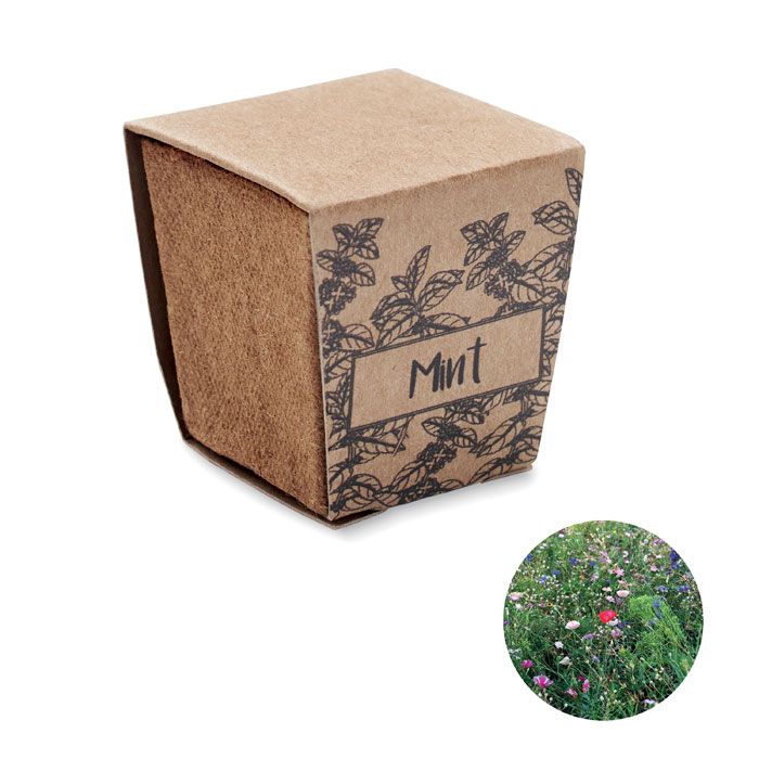 MINT KIT. Kit per la coltivazione di semi