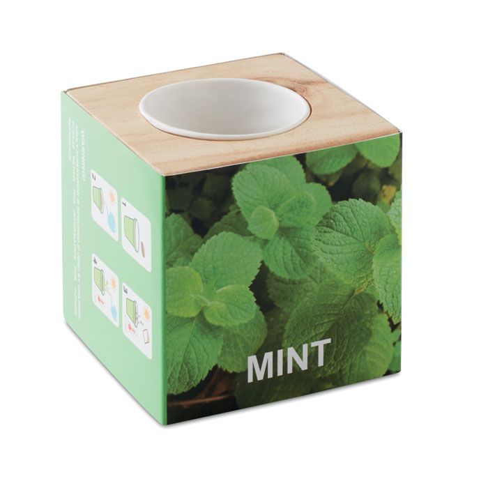 MENTA. Mini vaso in legno