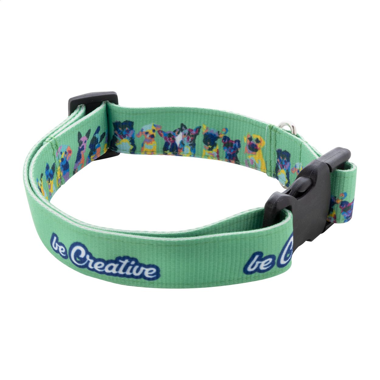 Ziggy. collare per cani personalizzabile