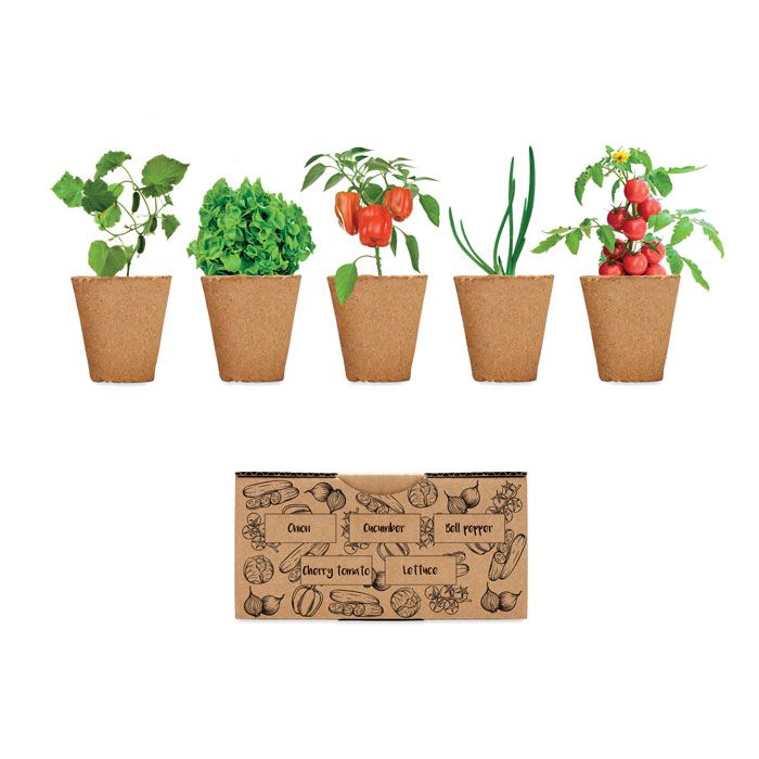 SALAD. Kit per coltivare insalata
