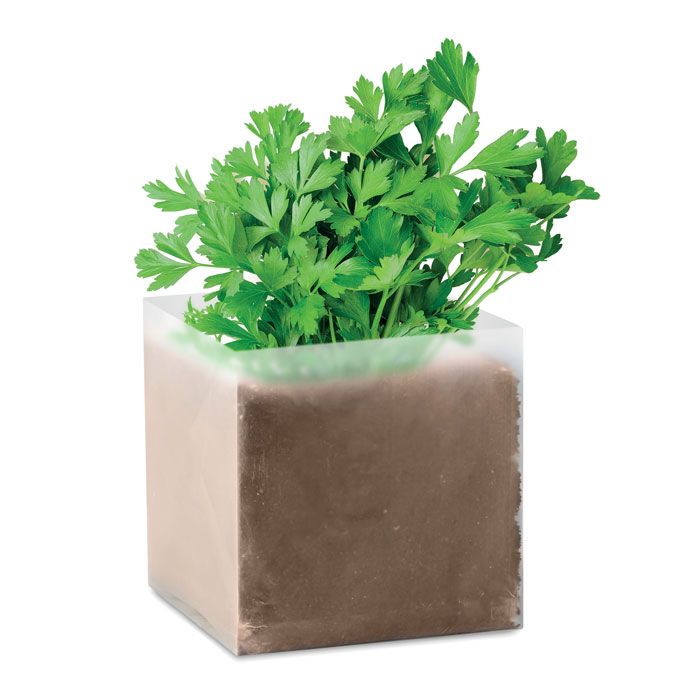 PARSELY. Semi di prezzemolo