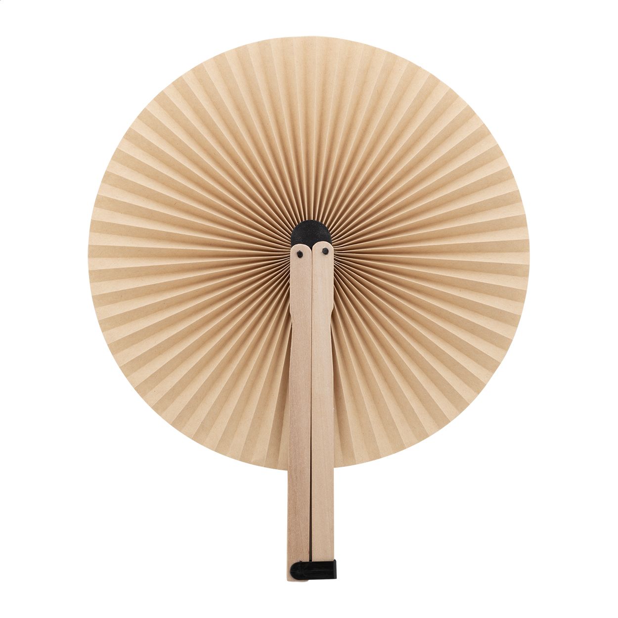 Lolli. Ventaglio