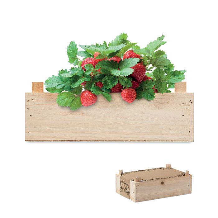 STRAWBERRY. Kit per coltivare fragole