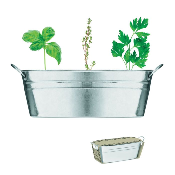 MIX SEEDS. Vaschetta con 3 semi di erbe