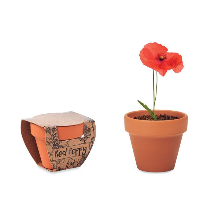 RED POPPY. Semi di papavero