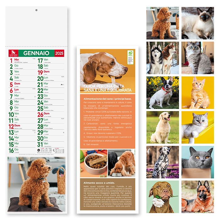 CANI E GATTI - PA191