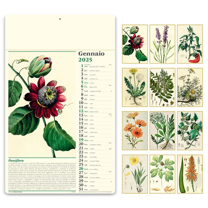 ERBORISTERIA - PA011