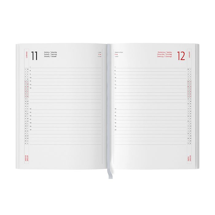 INTERNO GIORNALIERO - PB002TN